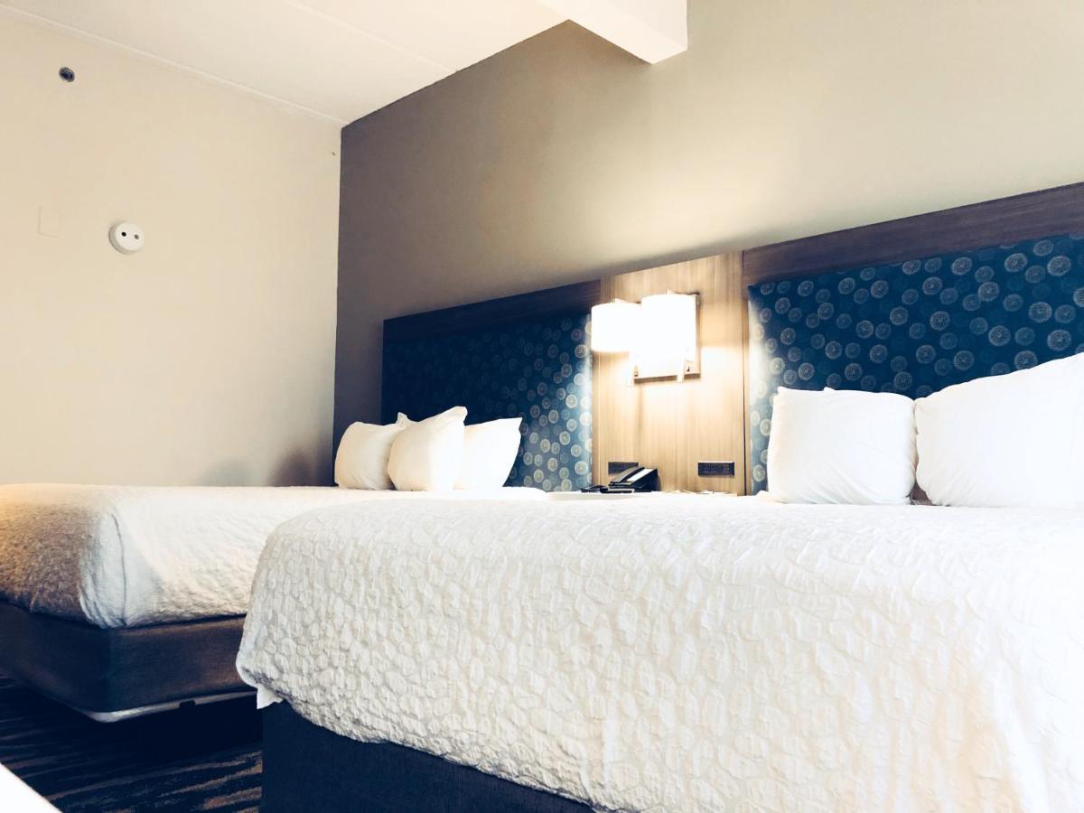 Comfort & Near Convention Center Hotel Greenville